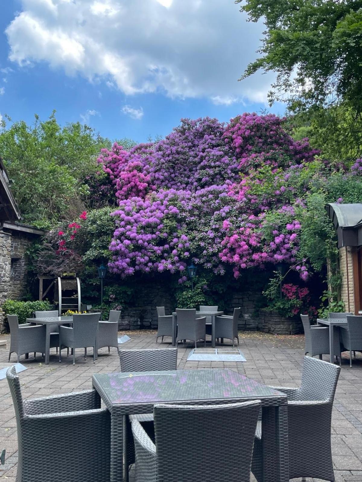 Hotel Zur Muehle Iserlohn Dış mekan fotoğraf